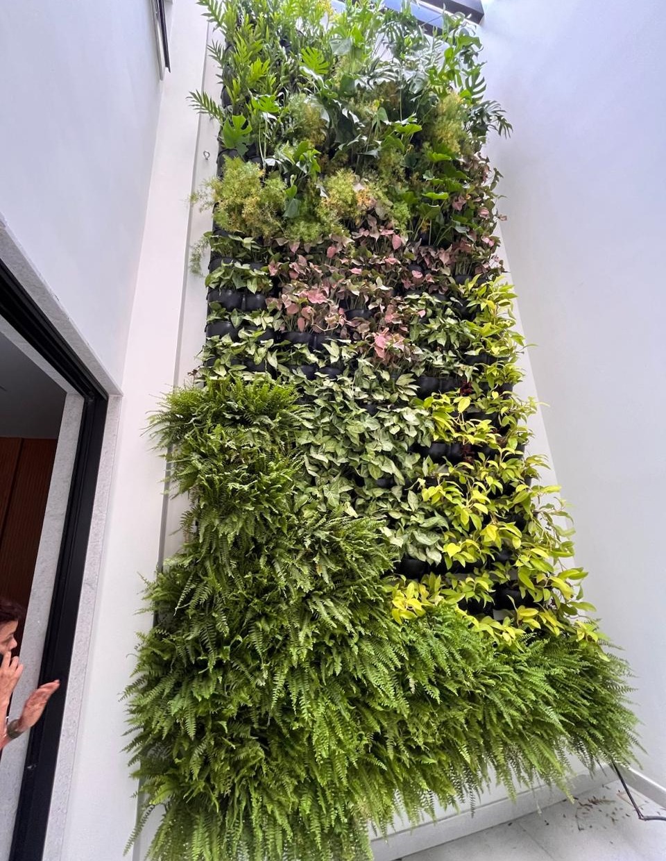 WhatsApp Image 2026-01-26 at 22.11.32.jpeg